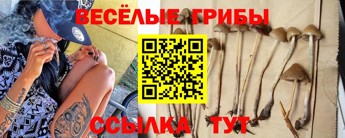 Галлюциногенные грибы MAGIC MUSHROOMS  Вход с VPN  Ростов-на-Дону  Галлюциногенные грибы Cubensis 