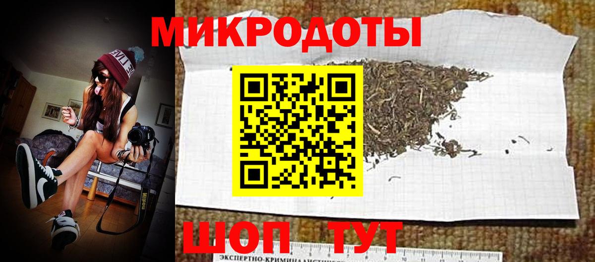 Галлюциногенные грибы Psilocybe Ростов-на-Дону