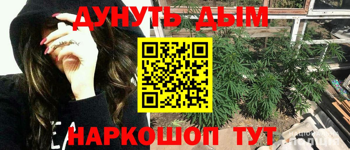 Бошки Шишки планчик Ростов-на-Дону